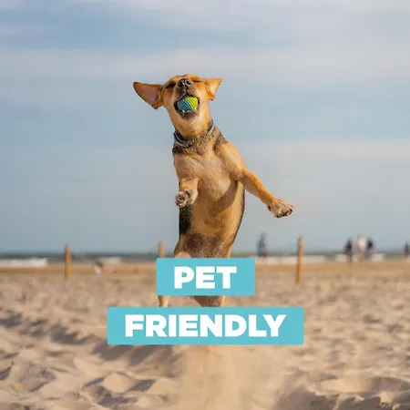 Cristallo 4g 公寓 利尼亚诺萨比亚多罗